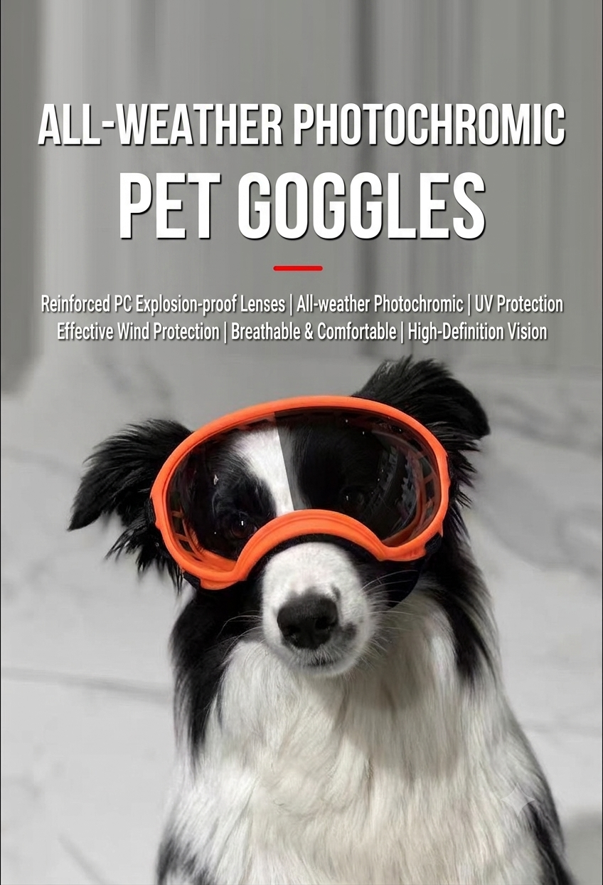 Photochromic Outdoor Dog Goggles – UV & Wind Protection for Medium & Large Dogs