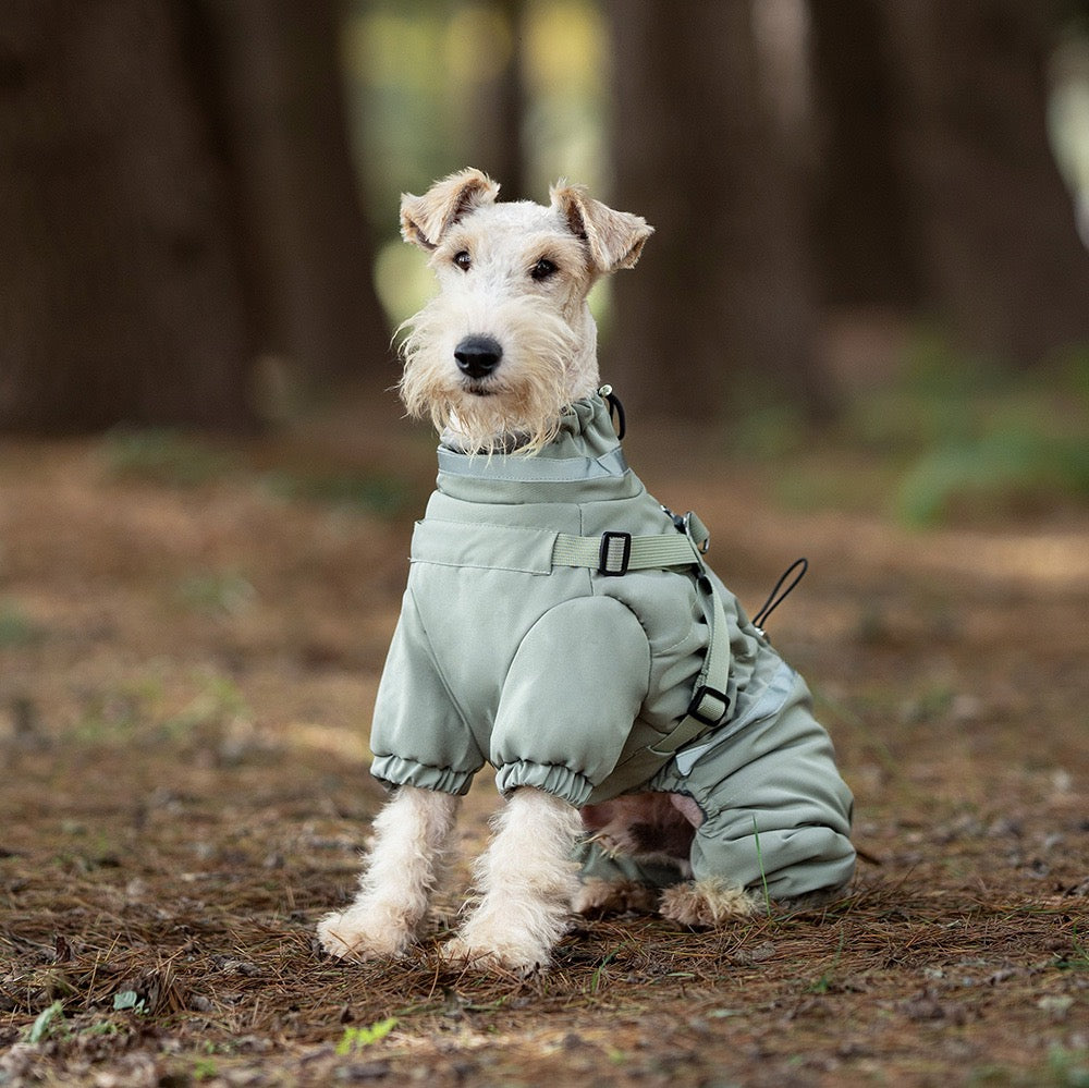 Full-coverage Winter Dog Jacket with Built-In Harness