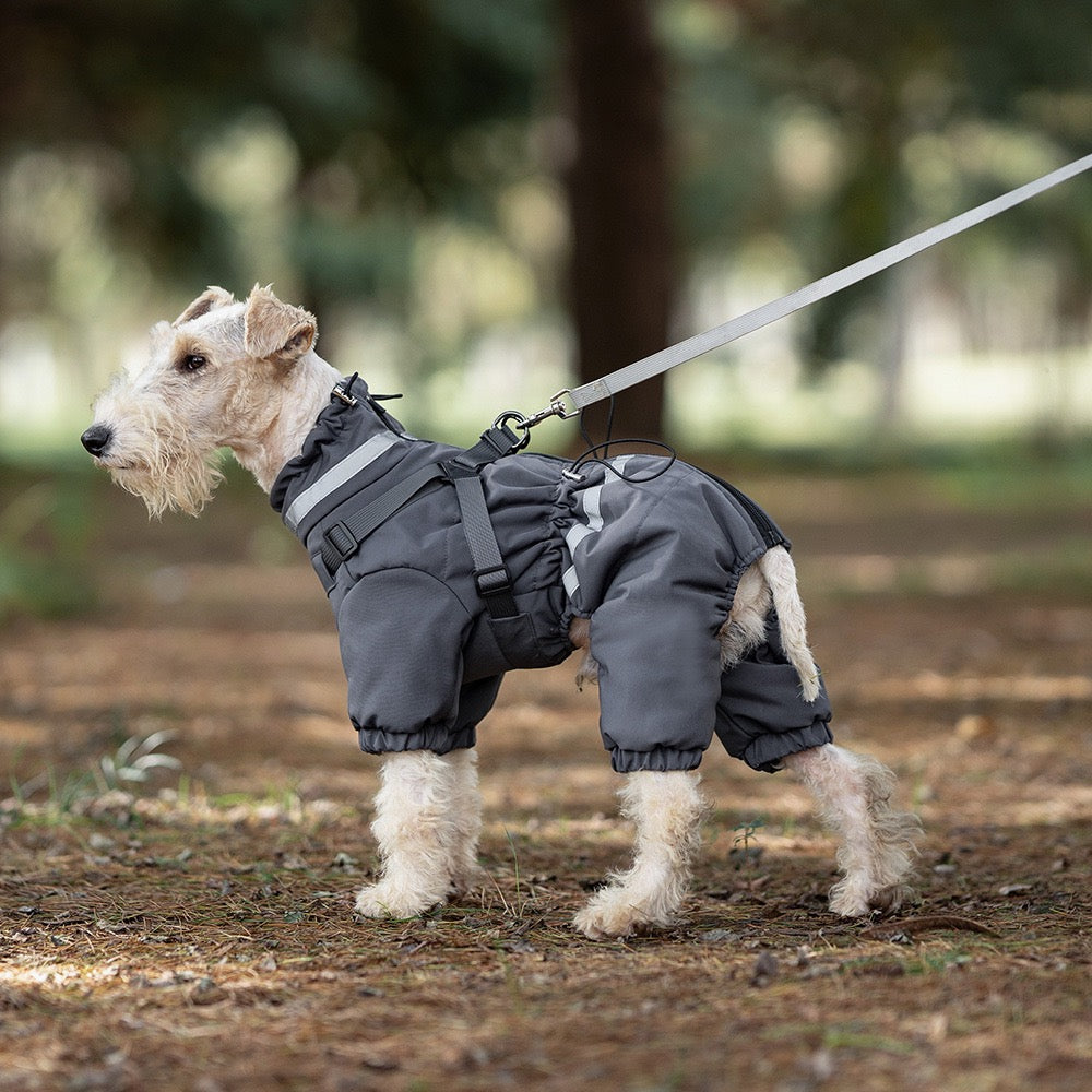 Full-coverage Winter Dog Jacket with Built-In Harness