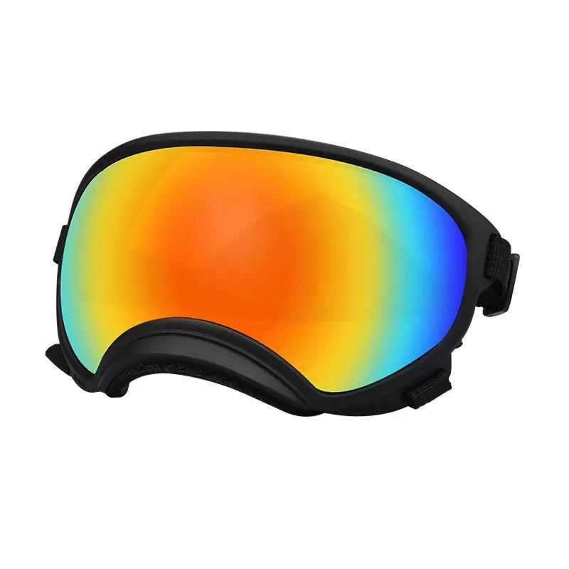 Anlorr Pet Outdoor Goggles – UV Protection, Anti-Impact, Splash-Proof