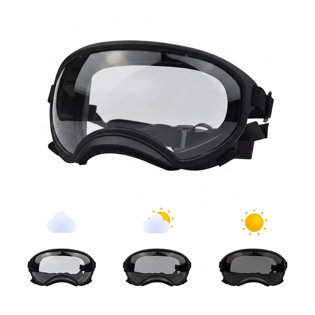 Black Dog Goggles