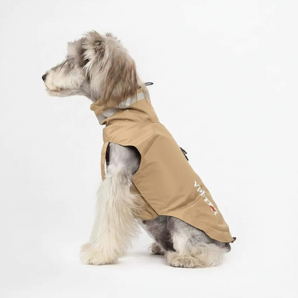 Schnauzer Khaki Jacket White Background