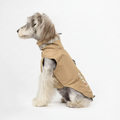 Schnauzer Khaki Jacket White Background