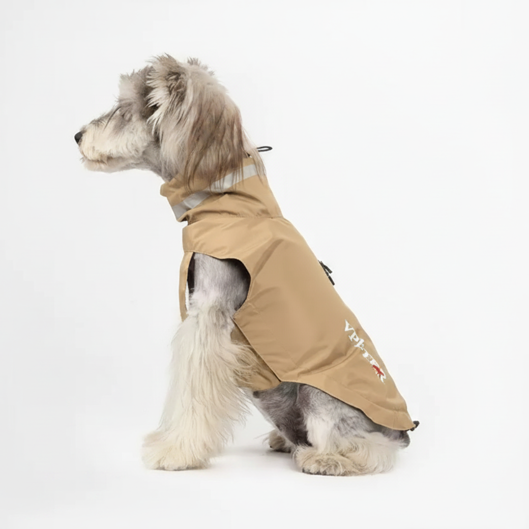 Schnauzer Khaki Jacket White Background
