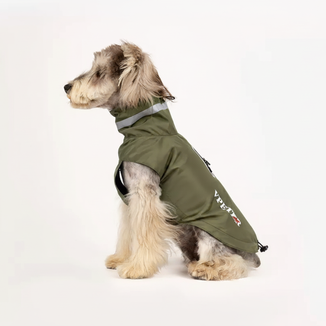 Schnauzer Olive Jacket White Background